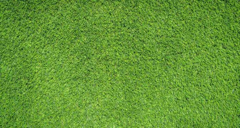 Artificial Grass - Brewster Flooring Company